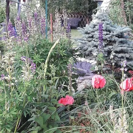 Magdalena With Garden And Free Bicycles