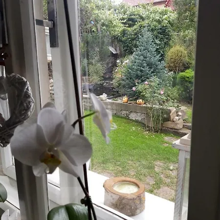 Magdalena With Garden And Free Bicycles * Zilina