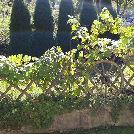 Magdalena With Garden And Free Bicycles Apartment Zilina