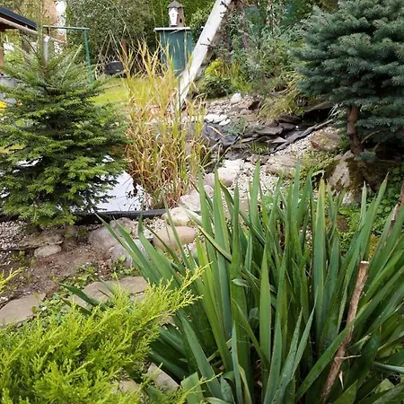 Magdalena With Garden And Free Bicycles